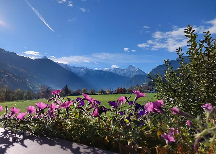 M&m Michael Und Maria Hippach